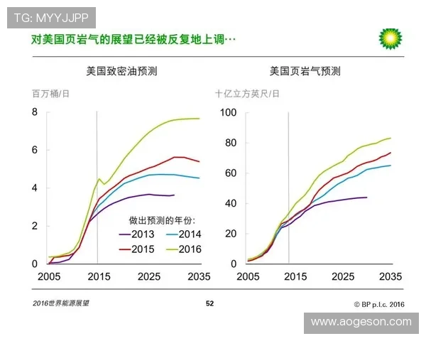 广州排球队的节奏解析与未来发展展望